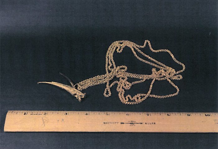 Dragon chain and whistle found by Rex Stocker - 1715 Fleet beach find, 1960's.