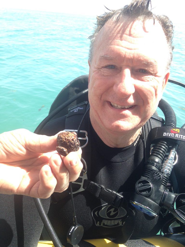 1715 Fleet Society Treasure of the month September 2018 3 e1535642453384