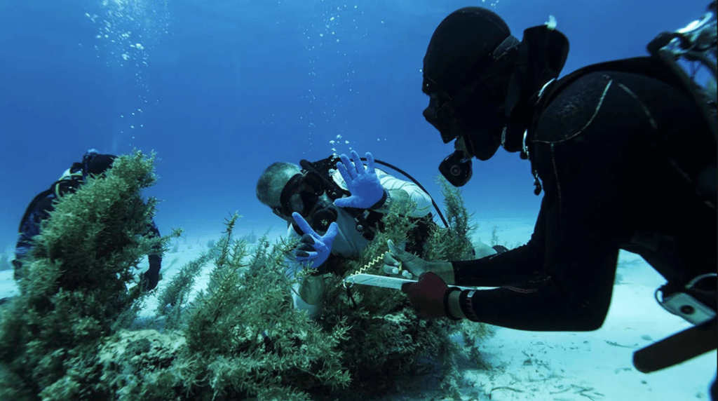 Brendan Chavez Allen Exploration IronAnchor