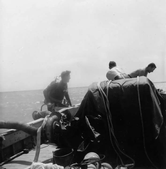(1961)