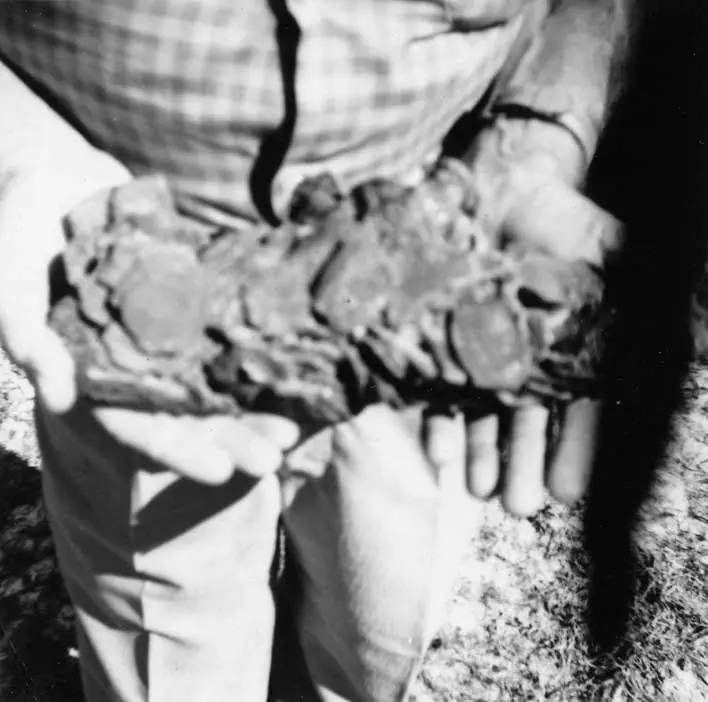 (1961)