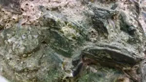 Closeup of 55.9 pound aggregate