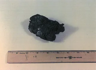 Coin clump - 1715 Fleet - Cabin Wreck, 1960